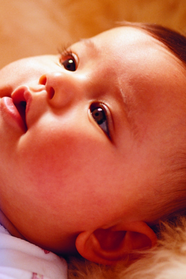 Красивый ребенок