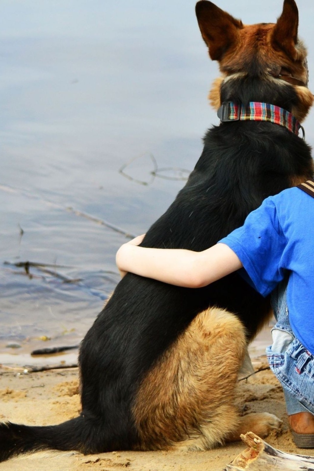 Друзья сидят у воды