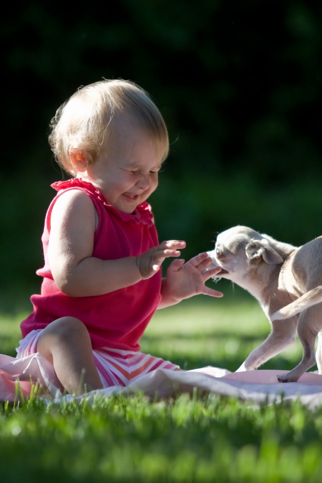 Ребенок играет с собакой