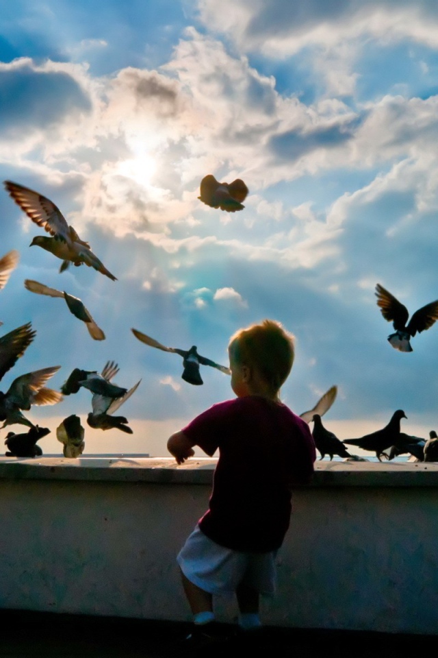 Ребенок и голуби 