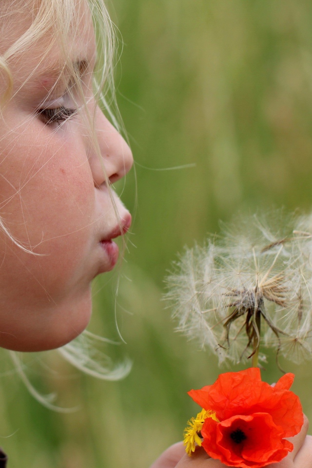 Девочка дует на цветок одуванчик