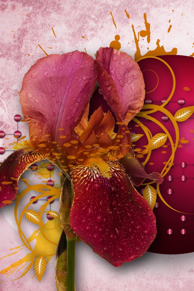 Абстракция с лепестками