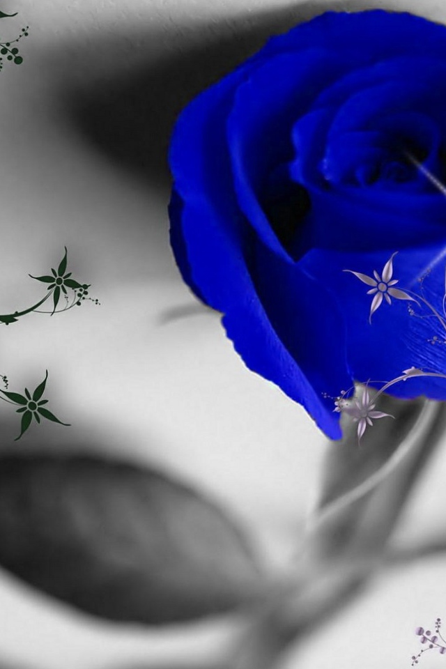 Синяя роза и узоры