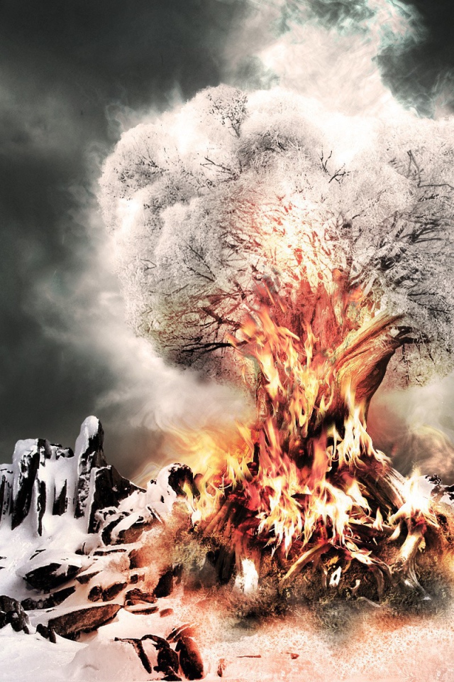 Горящее дерево