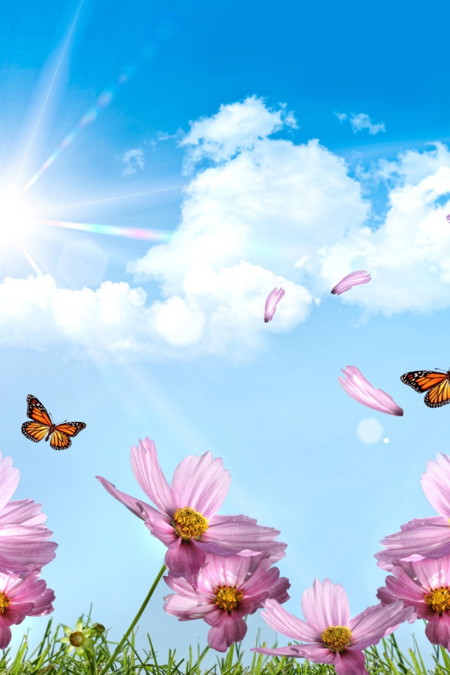 Летают бабочки и лепестки