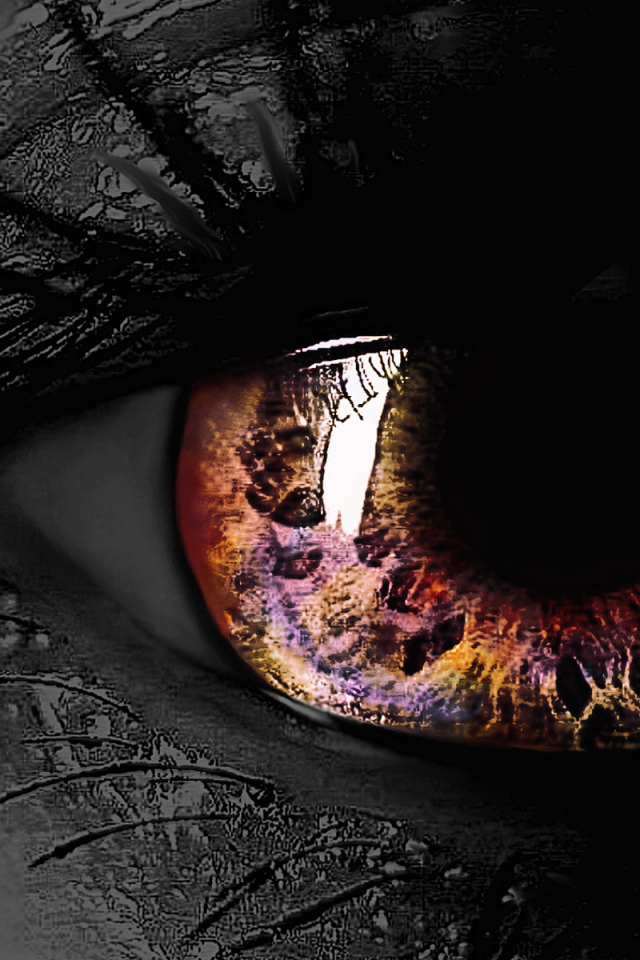 Разноцветный глаз