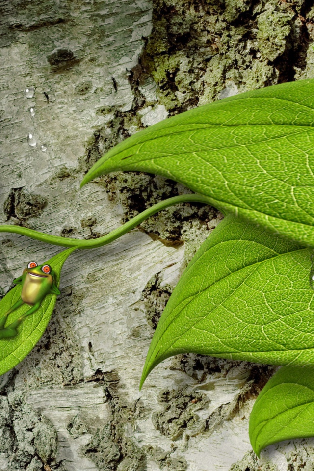 Лягушка на зеленом листе