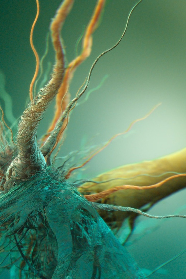 Сплетение корней