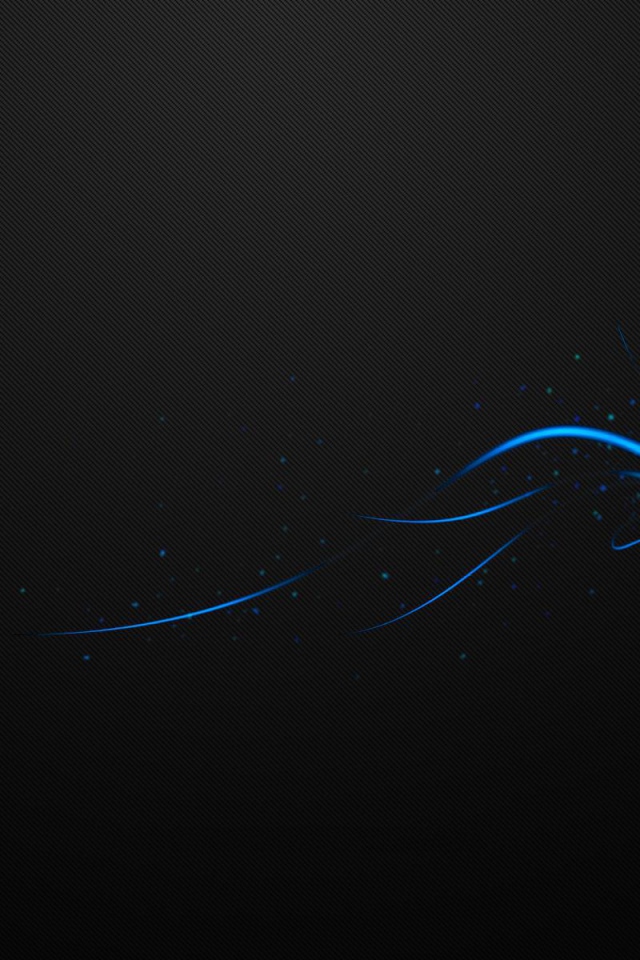 Ракушка на черном фоне