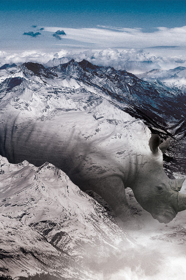 Носорог в горах