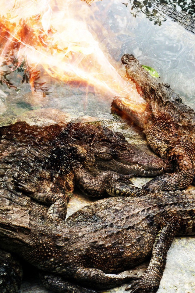 Крокодил изрыгает огонь