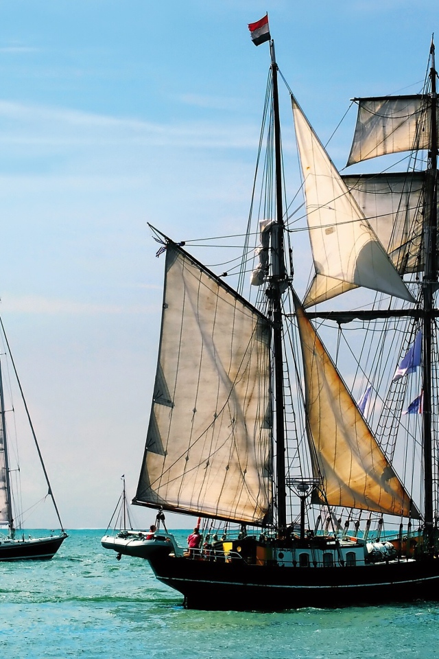 Плеяда парусников в море