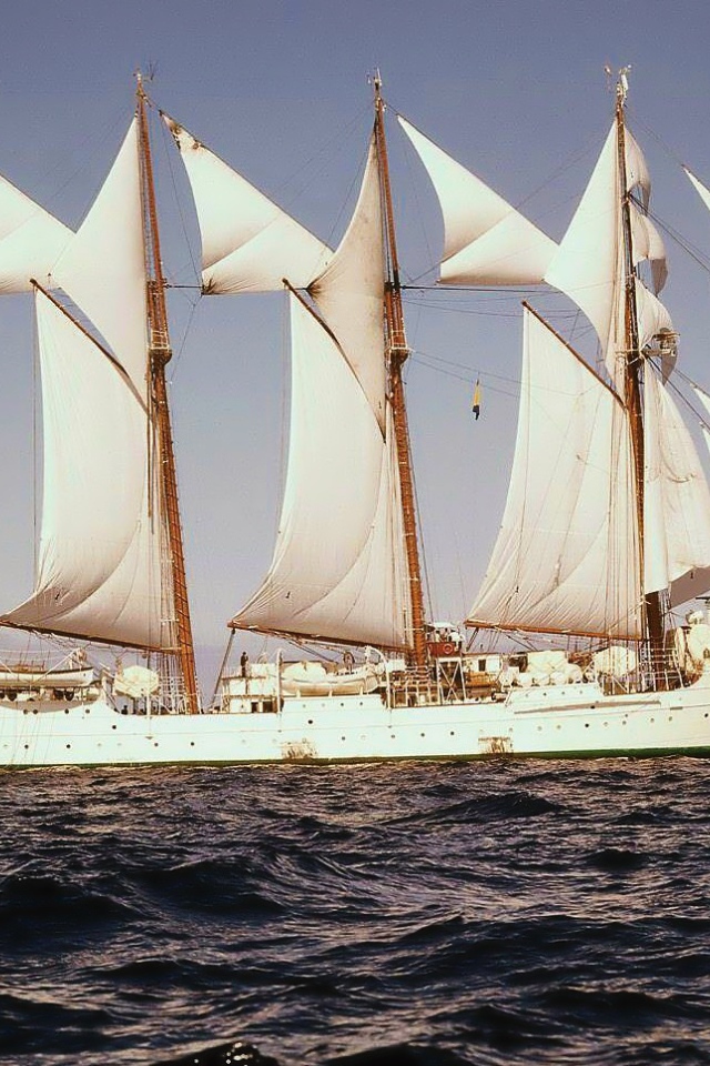 Попутный ветер в парусах