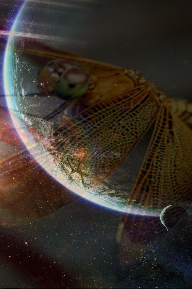 Стрекоза и космос