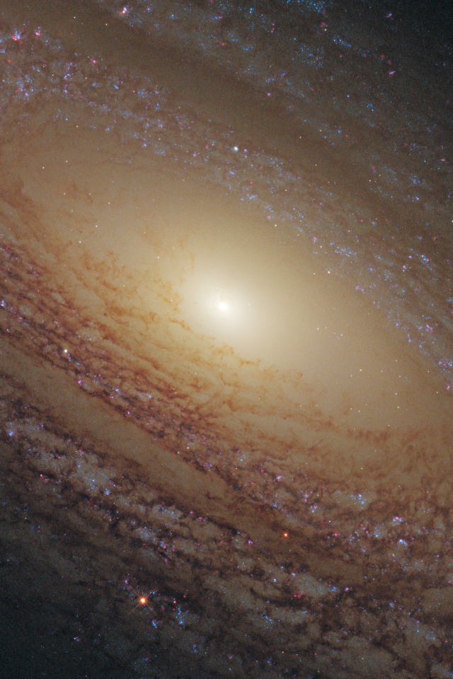 Спиральная галактика