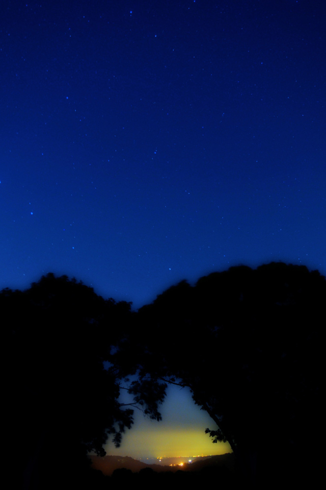 Созвездие Большая медведица