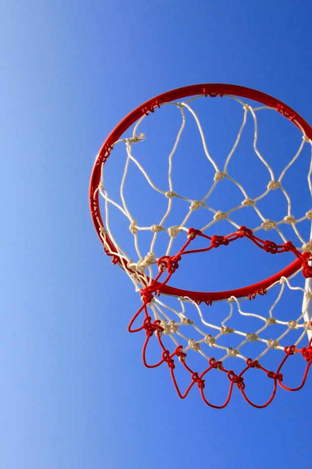 Баскетбольная сеть
