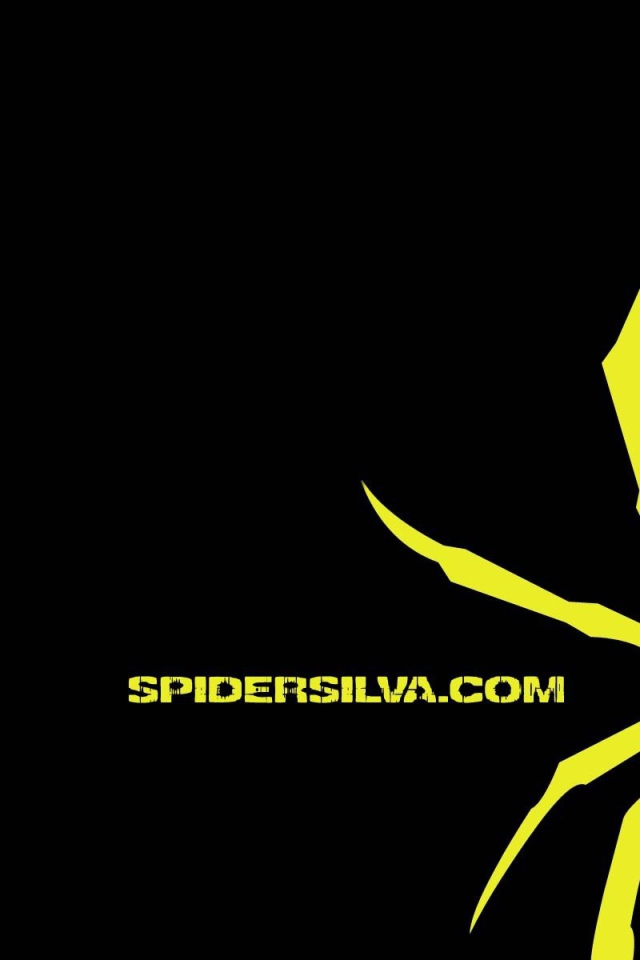 Опытный боец Андерсон Силва. Паук