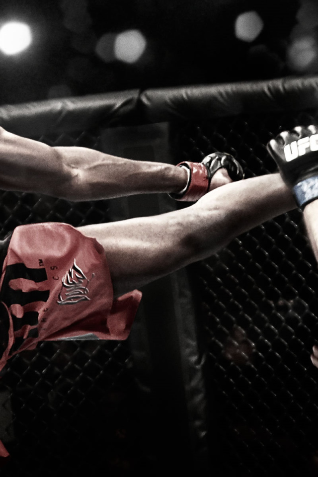 Известный боец Джон Джонс