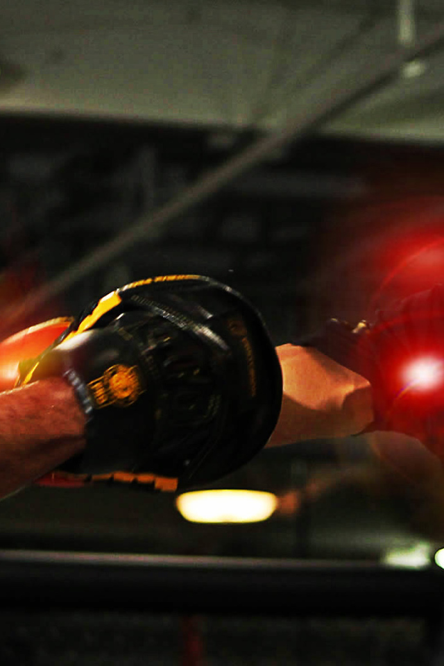 Боец Джуниор Дос Сантос