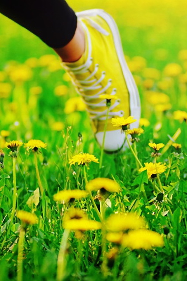 Пробежка в кедах по лугу