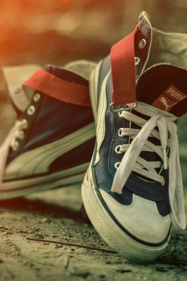 Пара красивых кед