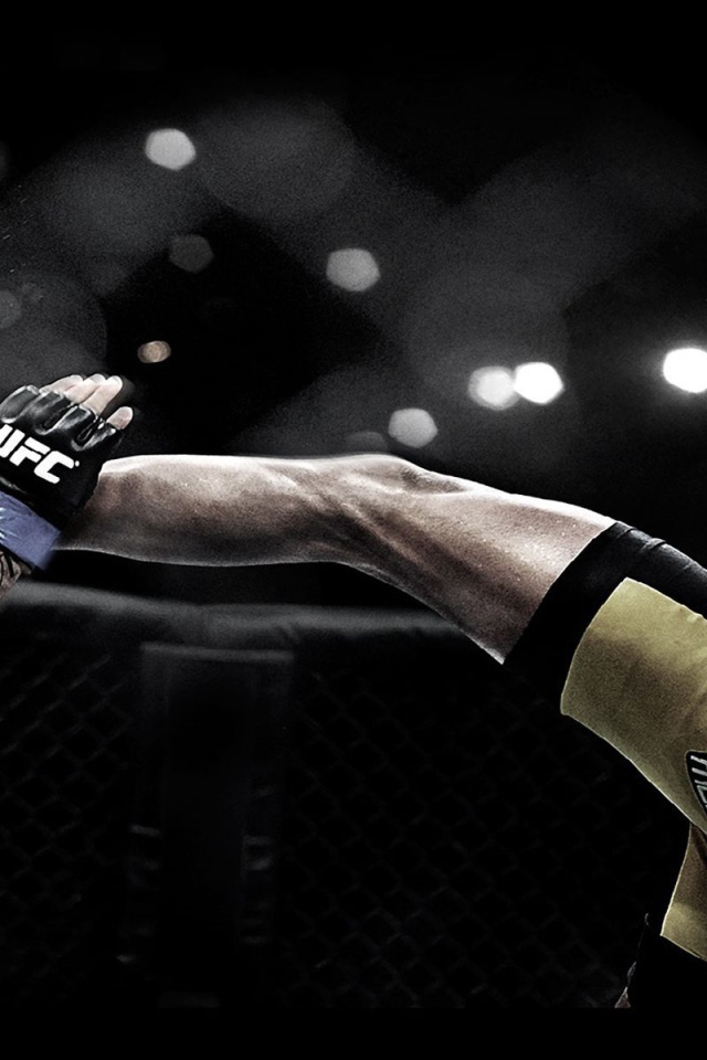 Популярный UFC боец Андерсон Силва. Паук