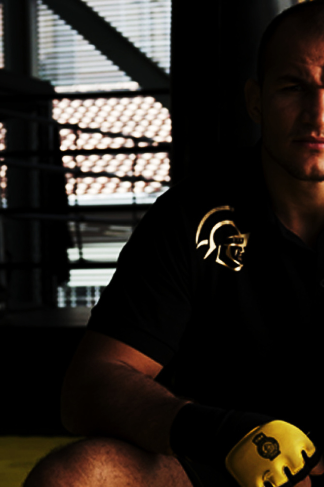 Популярный боец Джуниор Дос Сантос