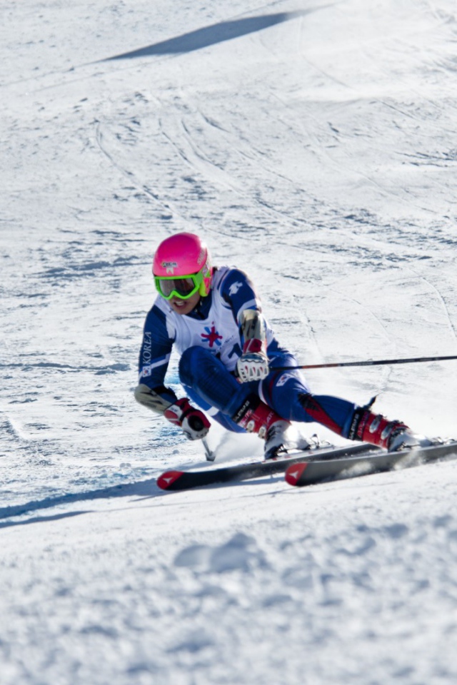 Катание на лыжах