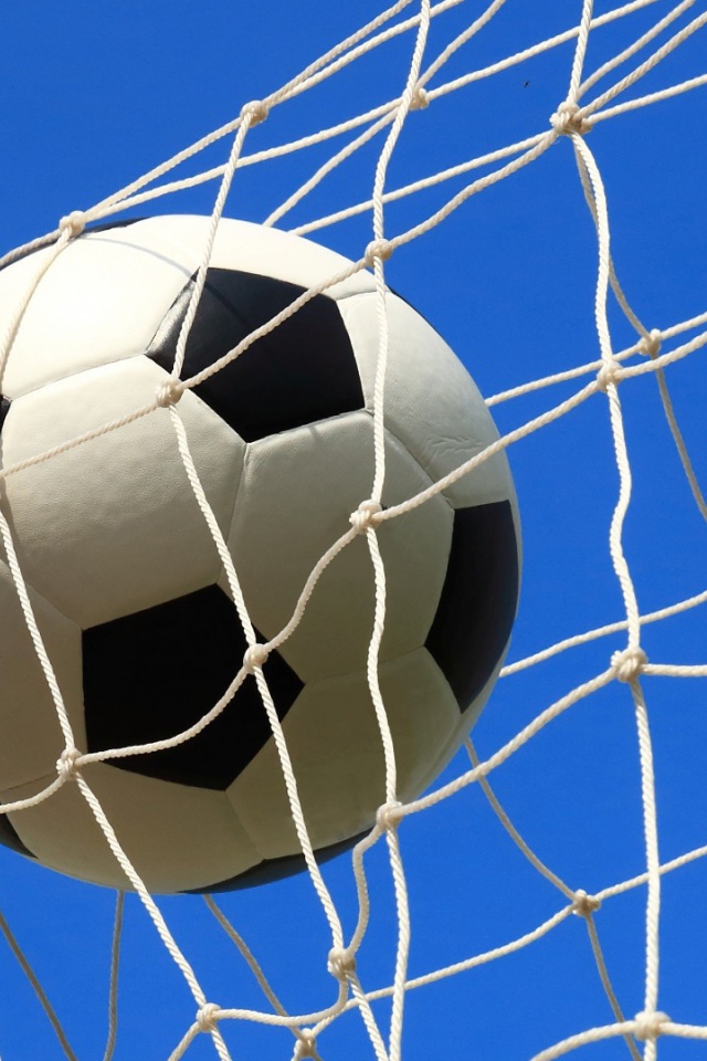 Футбольный мяч в сетке