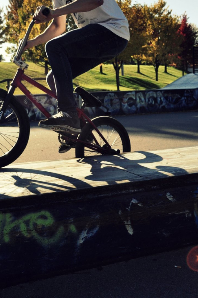 The cyclist in the skate Park