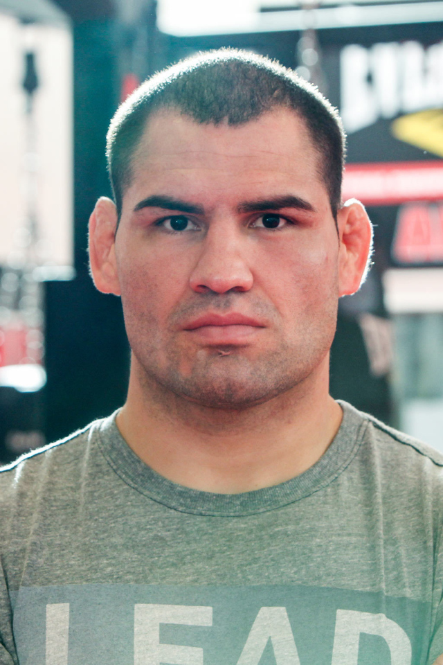 UFC Боец Джуниор Дос Сантос