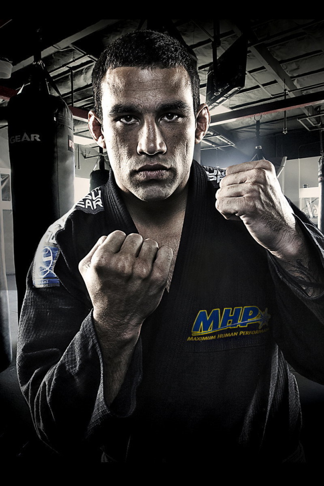 UFC Боец Хосе Альдо