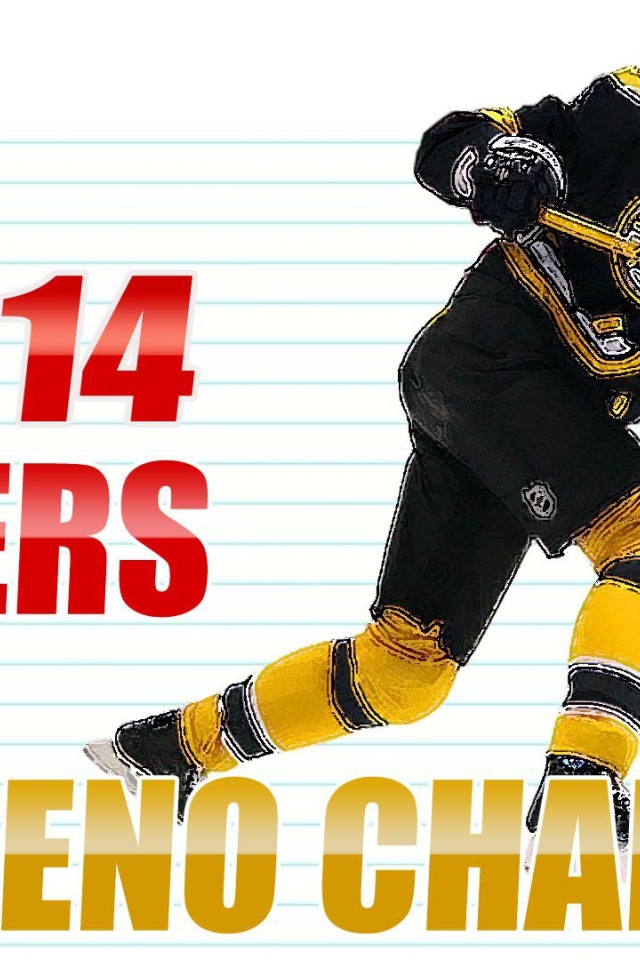 Хоккеист Бостона Здено Хара