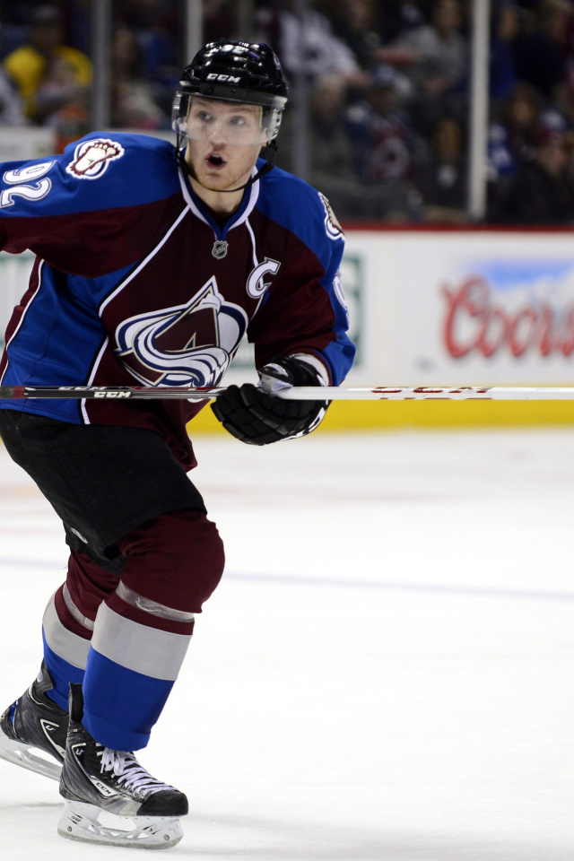 Популярный Хоккеист Габриэль Ландеског