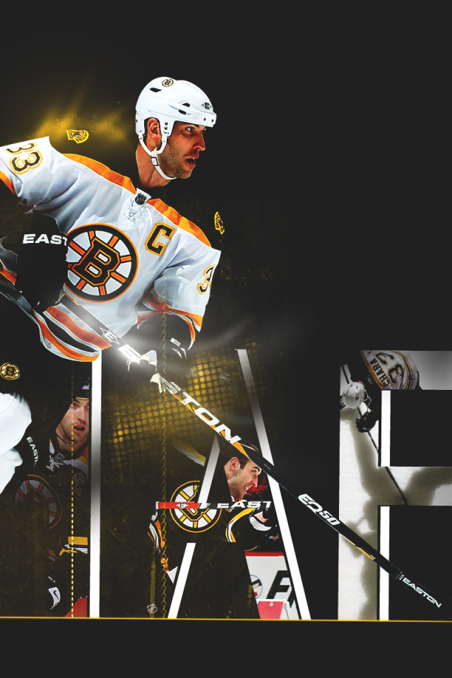 Здено Хара на льду