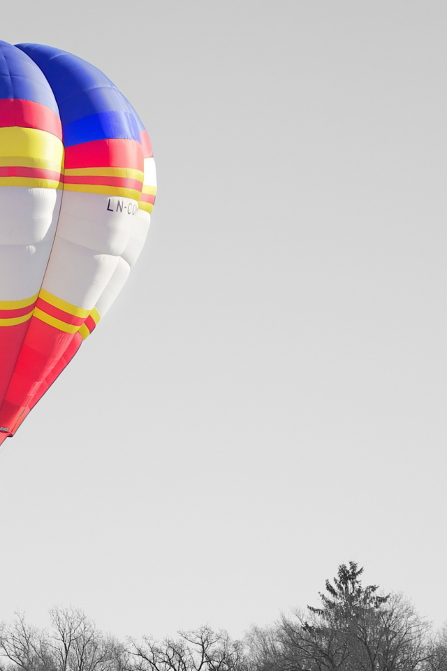 Воздушный шар над деревьями