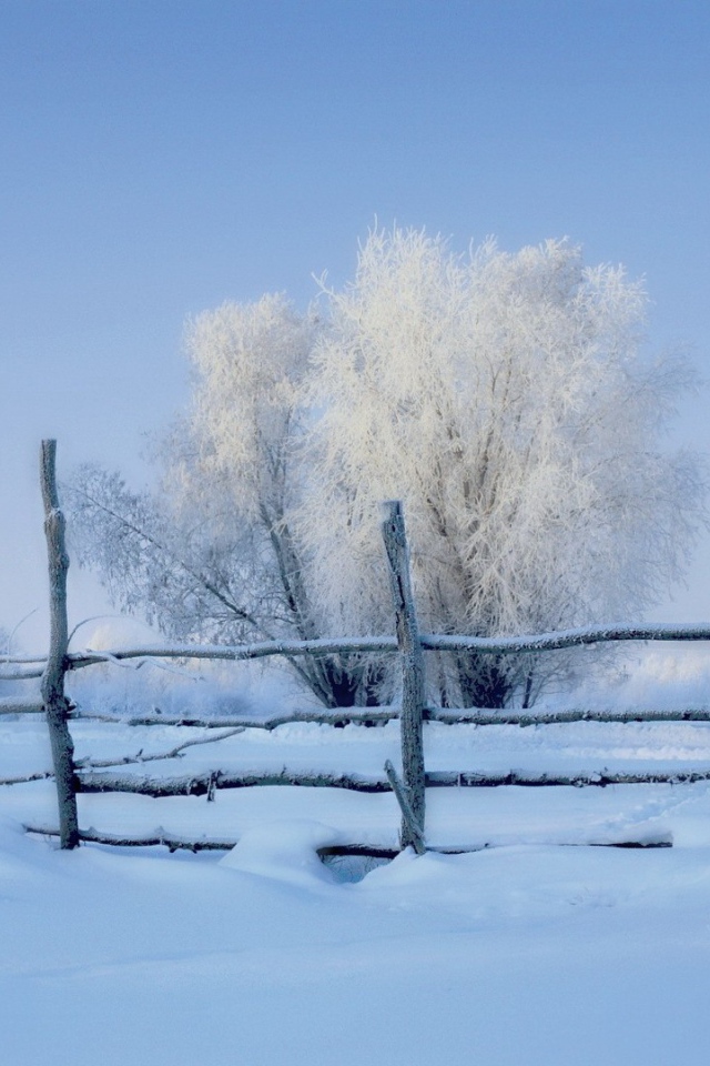 Заснеженный забор