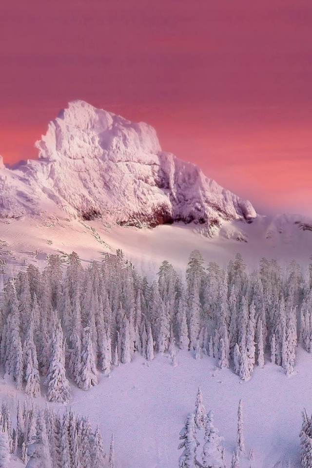 Гора и лес занесенные снегом