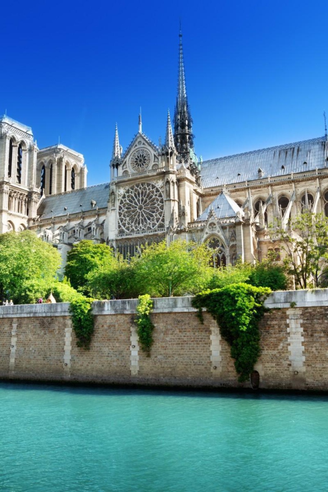Нотр Дам в Париже