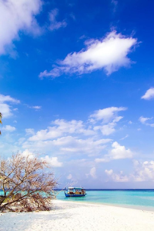 Природа острова Бали