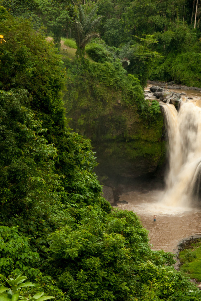Водопад в джунглях Бали