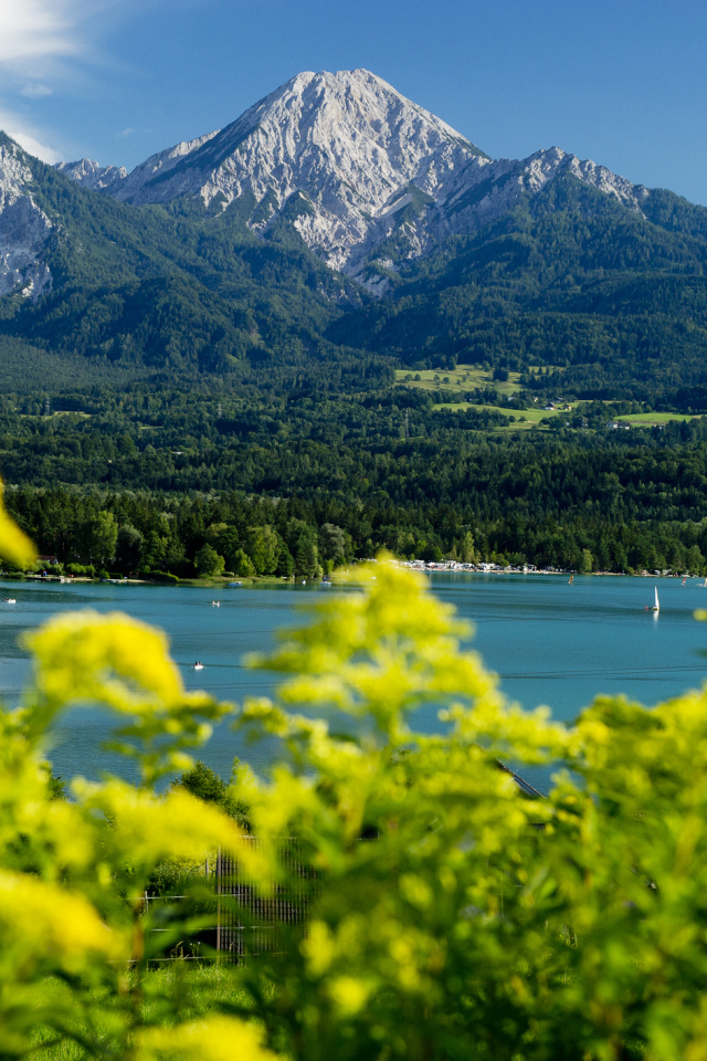 Зелень на фоне гор на курорте Фаакер-Зее, Австрия