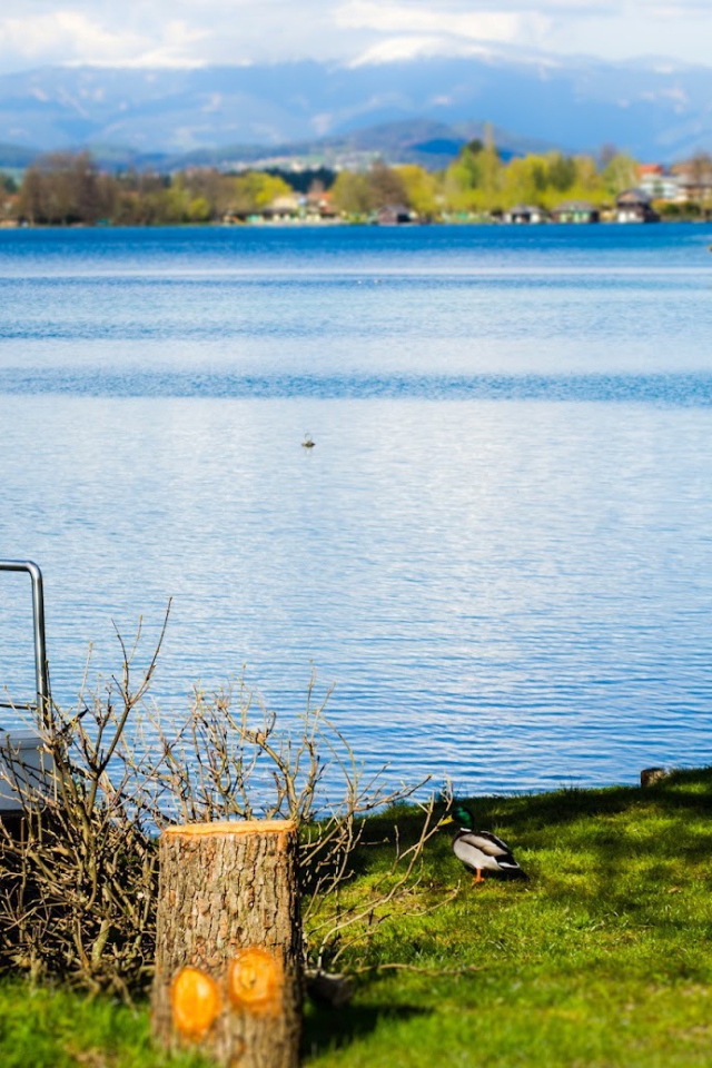 Отдых на озере Клопайнер Зее, Австрия