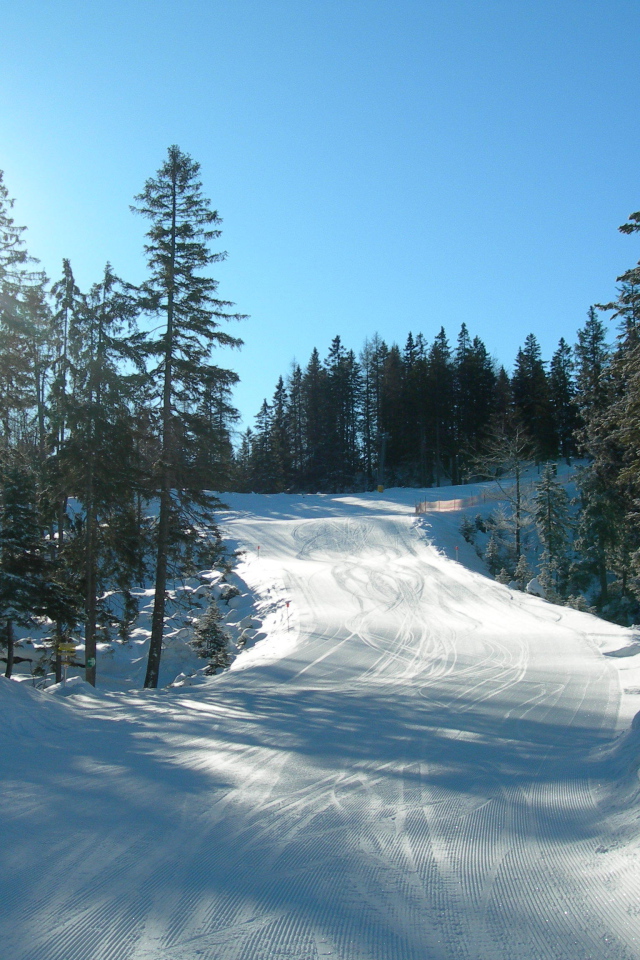 Лыжная трасса на курорте Зеефельд, Австрия