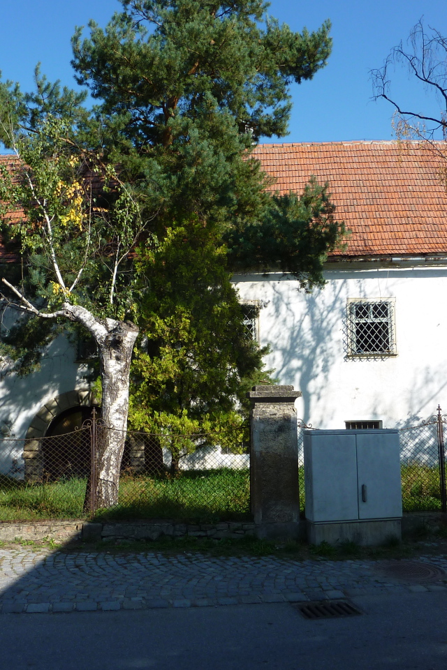 Дерево у дома в городе Лэнгенфельд, Австрия