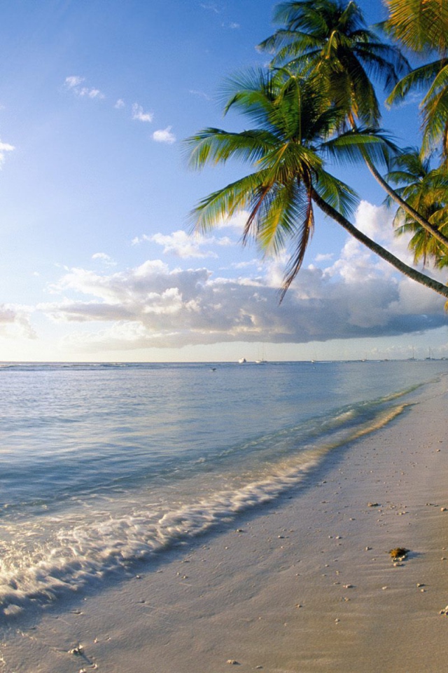 Знаменитый пляж Барбадоса