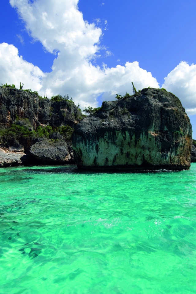 Зеленая вода в Барбадосе 