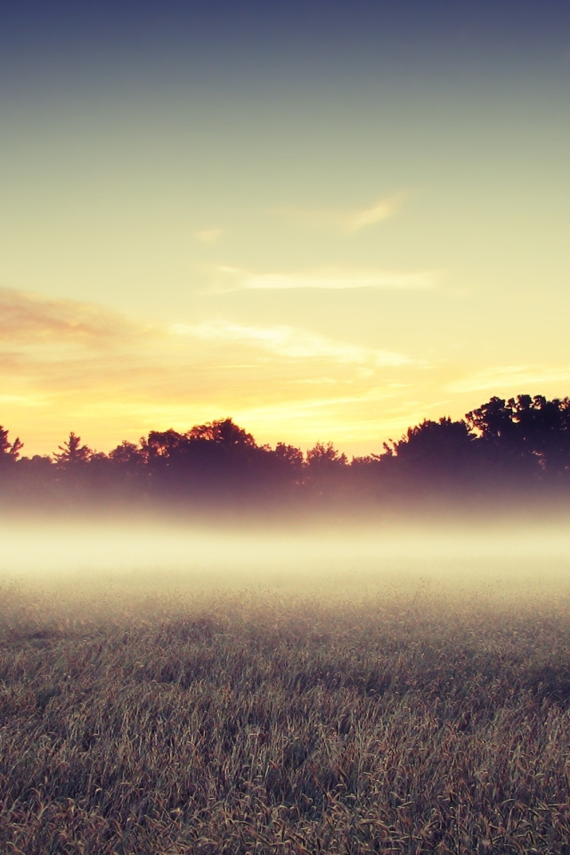 Туман в Барбадосе