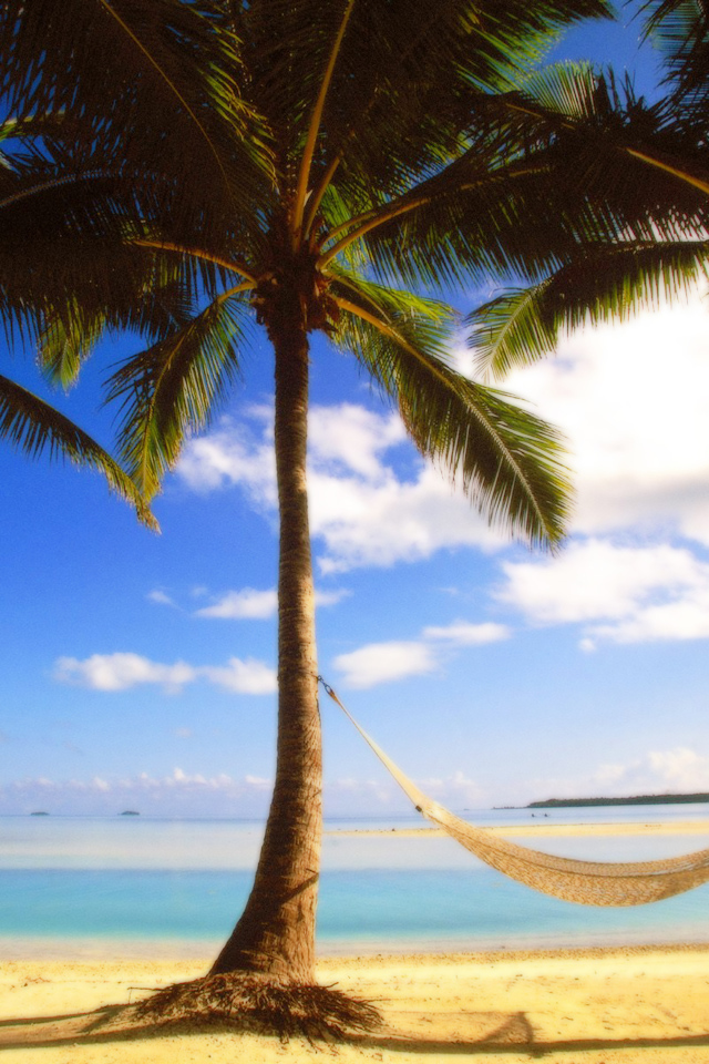 Пальмы на пляже в жаркий день в Барбадосе